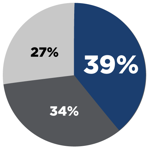 OEM Subscription Pie Chart