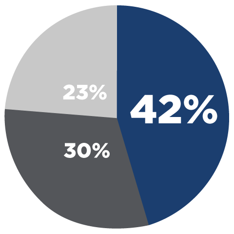 OEM Subscription Pie Chart