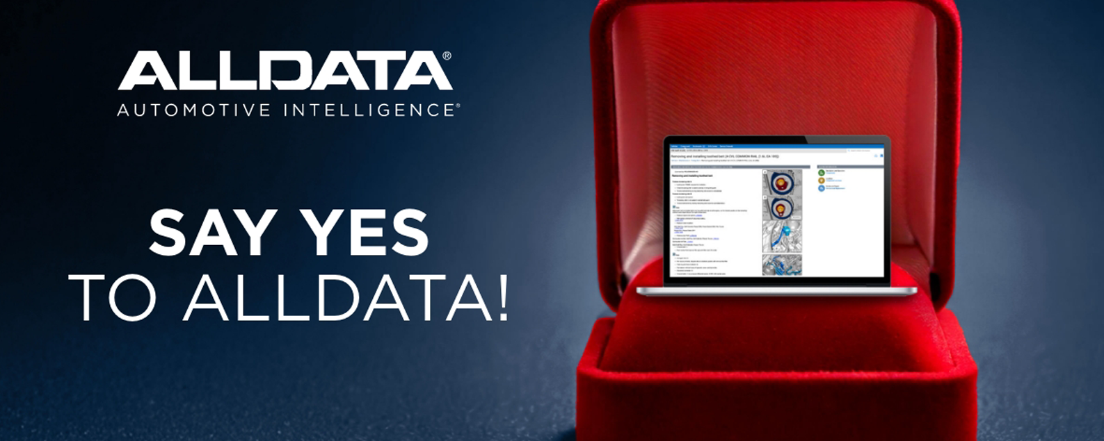 Say yes to alldata 